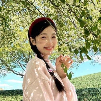 凸槌高材生
